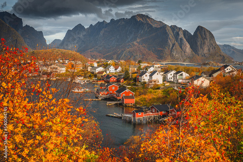 Beautiful and colorful autumn in the Lofoten archipelago in Norway. Breathtaking landscapes show the power of nature.