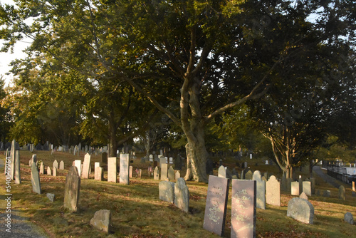 Картината върху платно Old Grave Markers in a Plymouth Cemetery