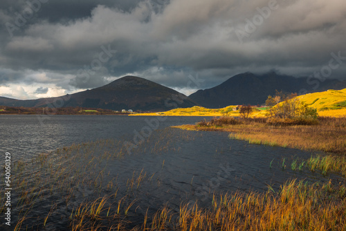 Obraz na płótnie Beautiful and colorful autumn in the Lofoten archipelago in Norway. Breathtaking landscapes show the power of nature. w salonie