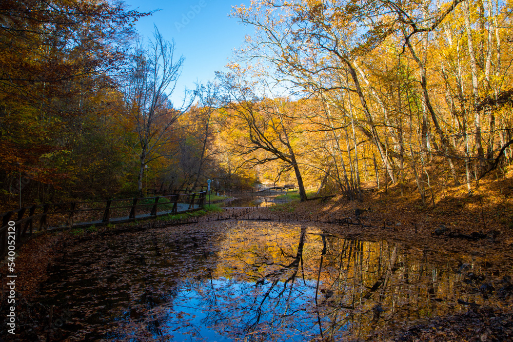 Obraz premium Autumn landscape from the resort of Sovata - Romania
