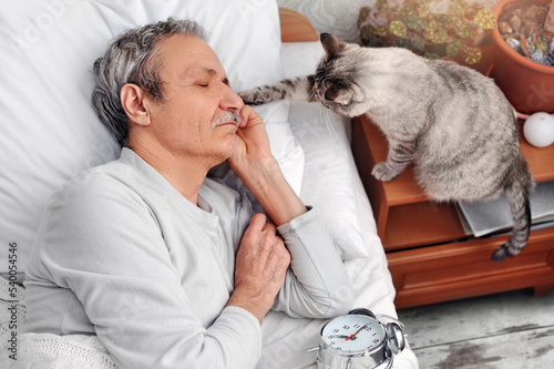 Cat waking up its  owner senior man sleeping in bed