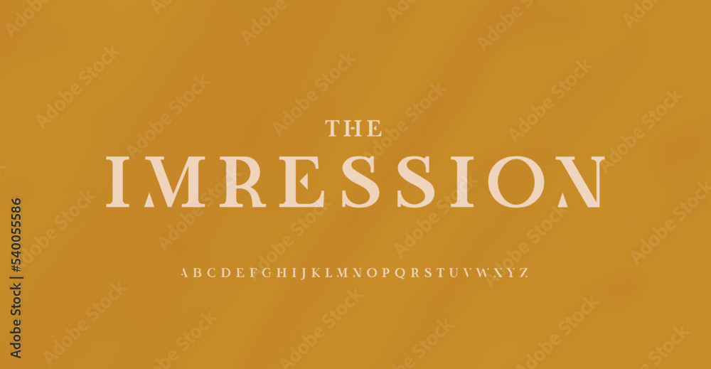Fotografie Elegant serif font for classic style monogram