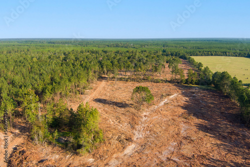 Aerial view of forest after deforestation for agriculture or fire prevention