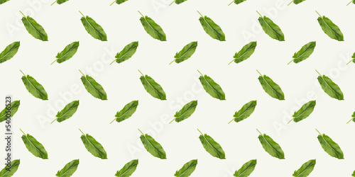 Seamless pattern of sorrel leaf on light background for wallpaper, fabric or wrapping-paper