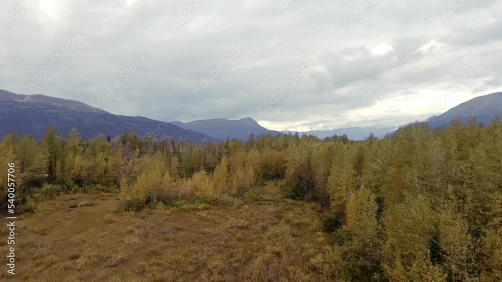 Cloudy autumn view of forest and distant mountains in Chugach State Park, Alaska Cloudy autumn view of forest and distant mountains in Chugach State Park, Alaska