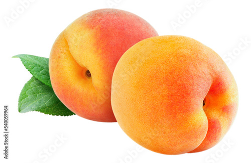 Two apricots cut out