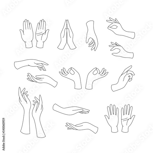 Set black outline silhouette feminine hands. Decorative illustration for beauty and cosmetics packaging