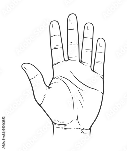 Vector illustration of counting hand. Open palm showing number five in sketch style.