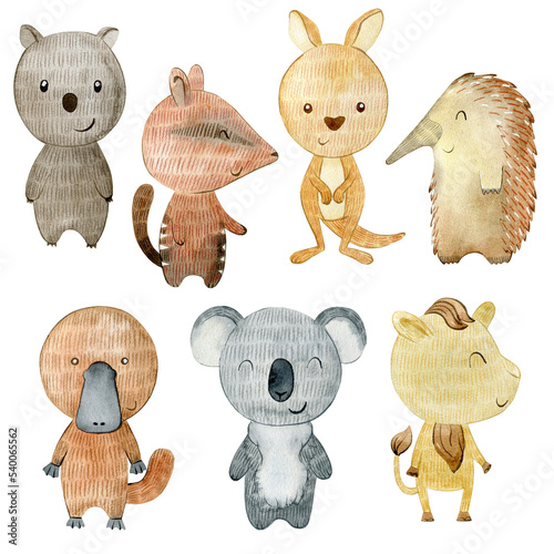 Photography Watercolor australian animals set.