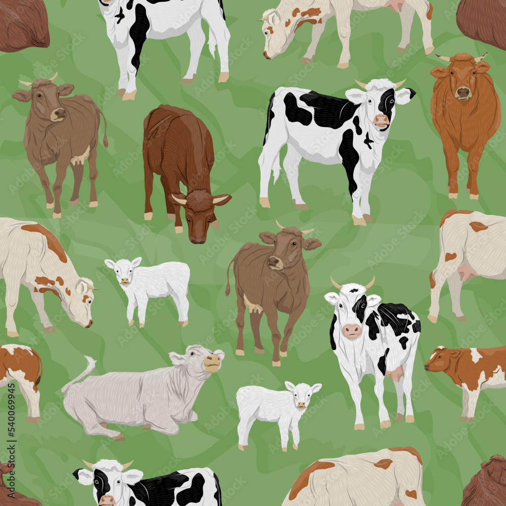 Seamless pattern with Domestic cows and calves in different poses. Bulls, cows and calves stand, eat and lie down. Farm realistic vector animals