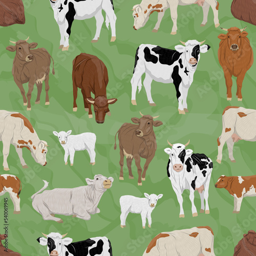 Seamless pattern with Domestic cows and calves in different poses. Bulls, cows and calves stand, eat and lie down. Farm realistic vector animals