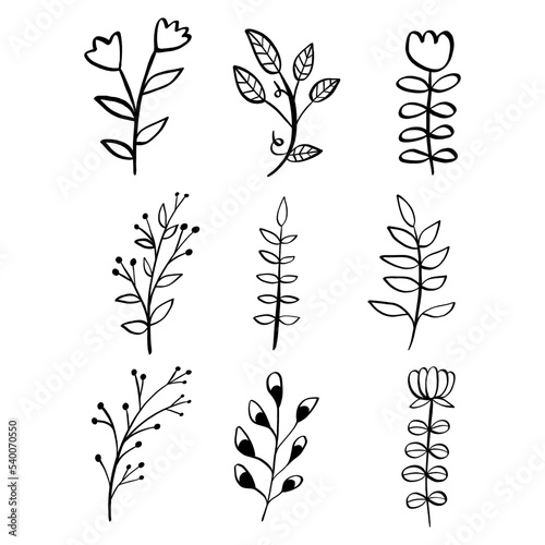 Black line doodle flowers and leaves on white background. Vector illustration about nature.