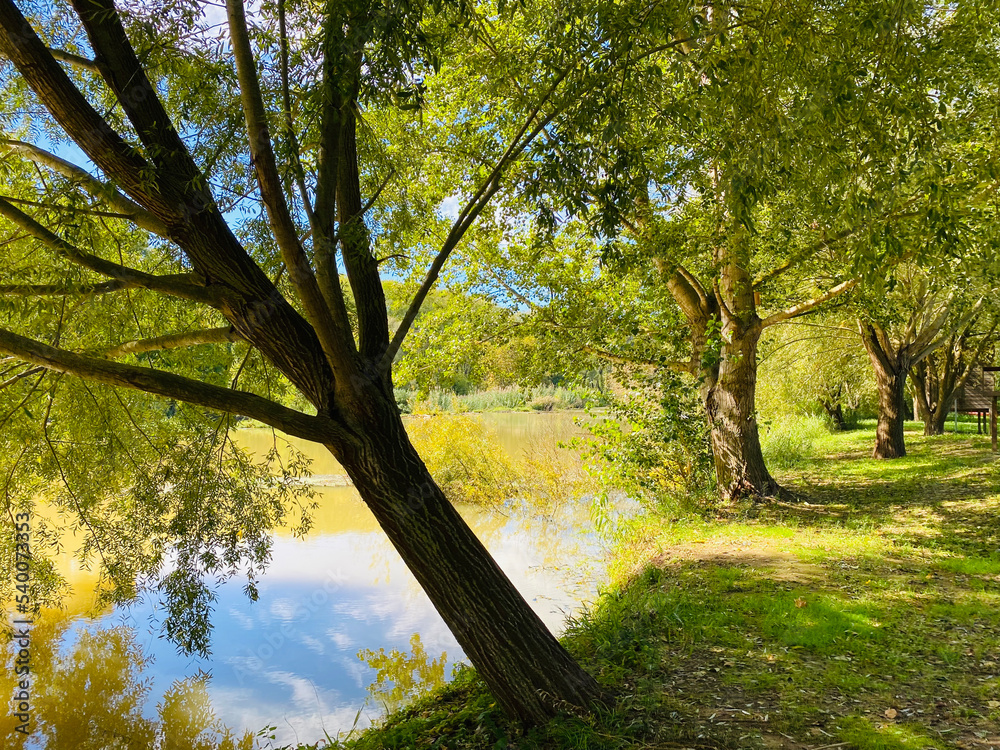 Green landscape with river and trees.
Route of the Ter river through the interior of Girona, Spain. Green landscape with river and trees.
Route of the Ter river through the interior of Girona, Spain.