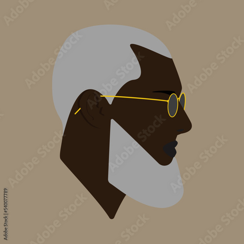 Portrait. Silhouette. Adult stylish black man. Gray-haired man with a beard. Man in sunglasses
