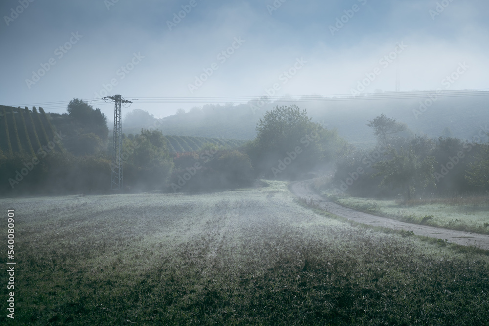 Mystical morning fog lies over a field and a dirt road leading into wooded hills in the mist.