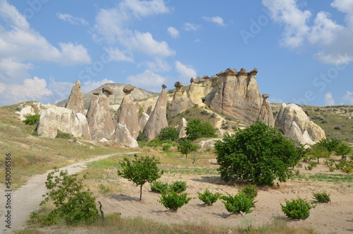 cappadocian landscape with plants and bizarre rock formation