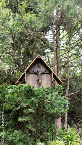 bird house in the forest © Denys