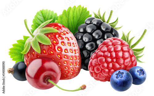Assorted berries (cherry, black currants, strawberry, blackberry, raspberry, blueberries) cut out