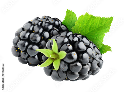 Two blackberries cut out photo