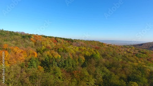 Wallpaper Mural Aerial view of beautiful autumn colored forest Torontodigital.ca