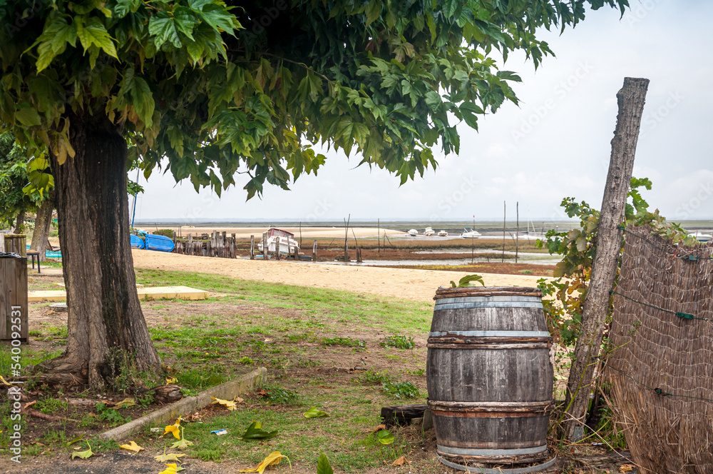 Fototapeta premium Bassin d'Arcachon