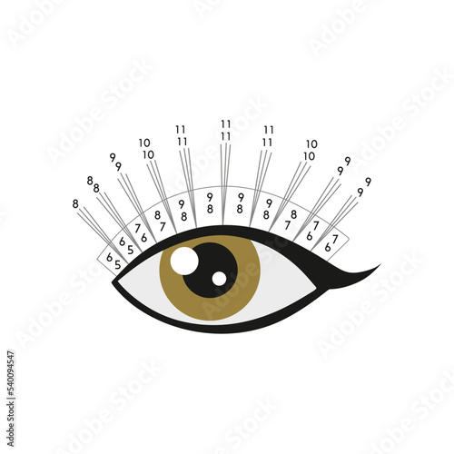 Scheme rays. Eyelash extension. Instruction. Procedure. Eyelash type and shape. Brown eye. Tutorial.