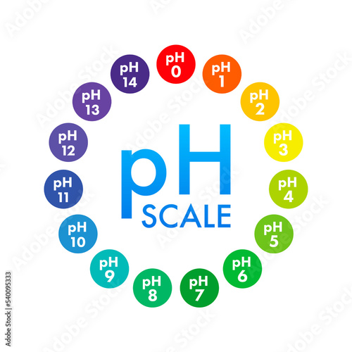 pH value scale meter. pH analysis chemical scale value test. Vector stock illustration. photo