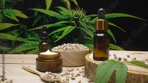 Natural skincare cosmetic mockup product produced in cannabis legalized laboratory. CBD oil, hemp seed, and moisturizing cream jar product on table with garden of cannabis plants background. Copyspace photo