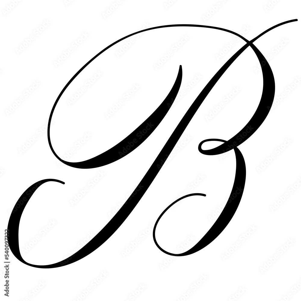 Hand drawn copperplate spenserian wedding alphabeth lettering "b