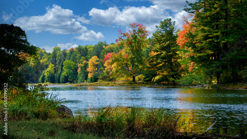Fototapeta Naklejka Na Ścianę i Meble -  Autumn color in Stokes State Forest New Jersey