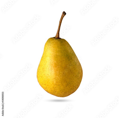 Yellow speckled, ripe pear with tail and shadow isolated on white background