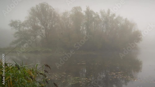 Mysterious forest lake with fog Timelapse 01 - Pan right