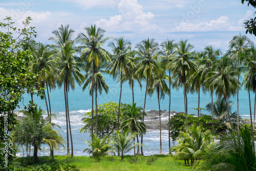 Paisaje con palmeras en la costa de Puntarenas en Costa Rica