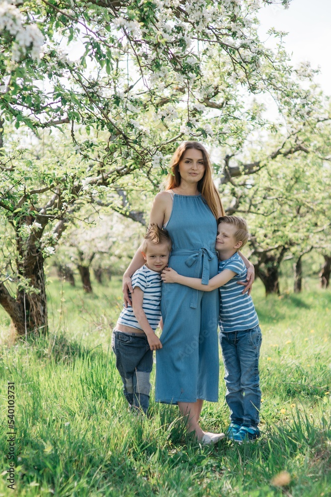 pregnant mother with two sons cheerful walk in the apple orchard on a sunny spring day. High quality photo