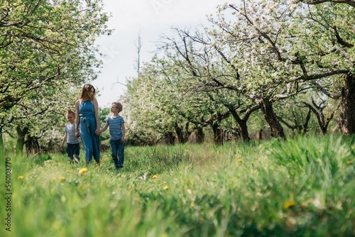 pregnant mother with two sons cheerful walk in the apple orchard on a sunny spring day. High quality photo © Alek