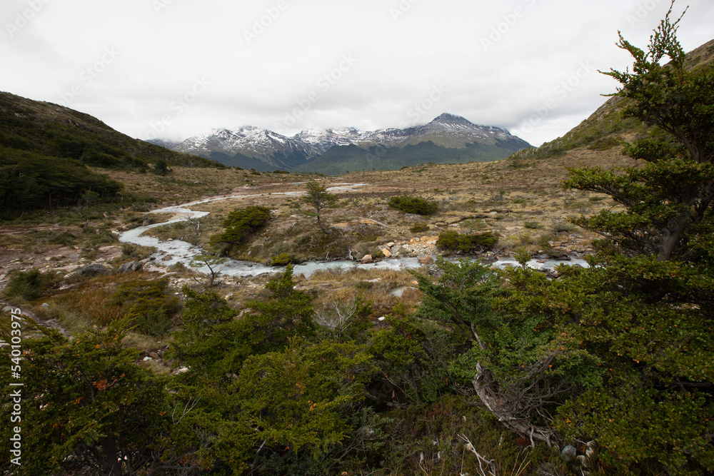 Alpine landscape. Panorama view of a glacier water stream flowing downhill across the meadow, valley, forest and Andes mountains, under a cloudy summer sky.