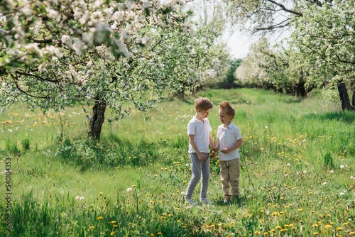 two little cute brothers cheerful walk in the apple orchard on a sunny spring day. High quality photo