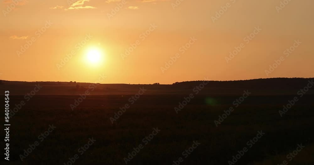 A field at sunset with flying insects, a field at dusk during sunset