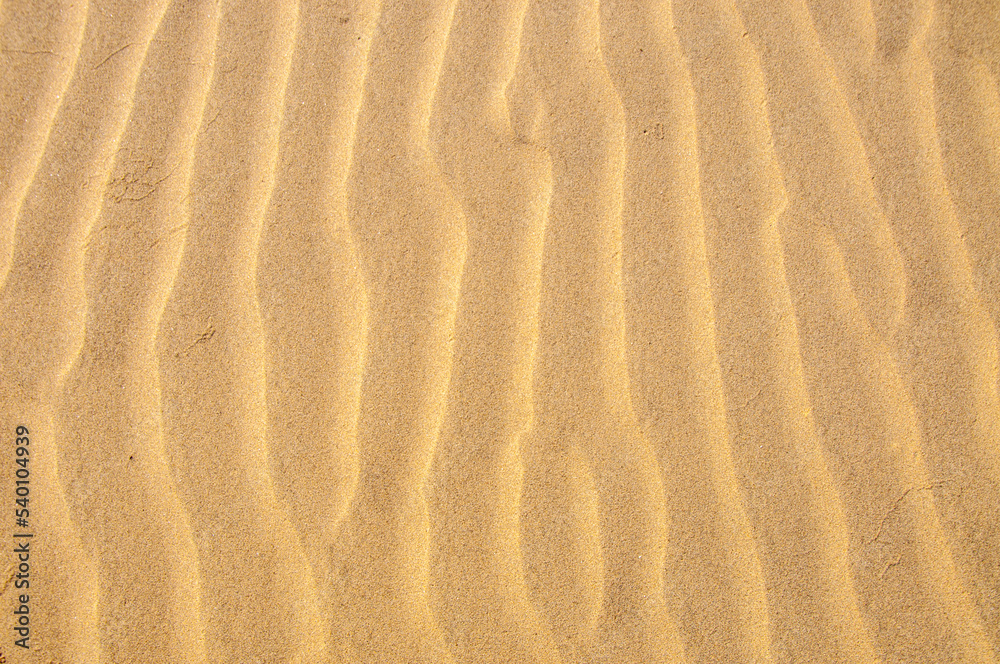 Fototapeta premium Sand ripples in the sand