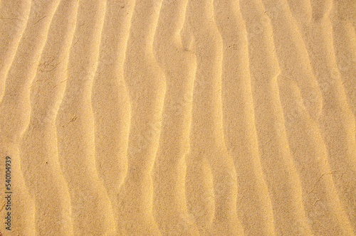 Sand ripples in the sand