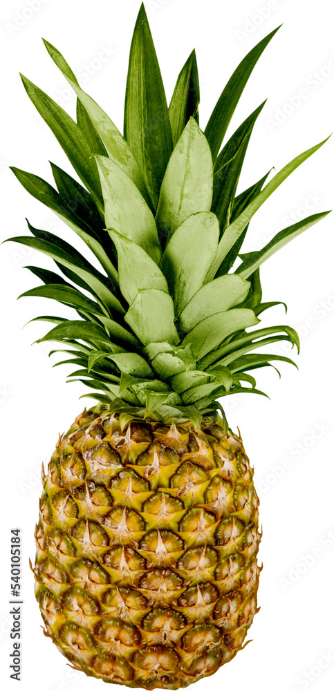 Whole pineapple