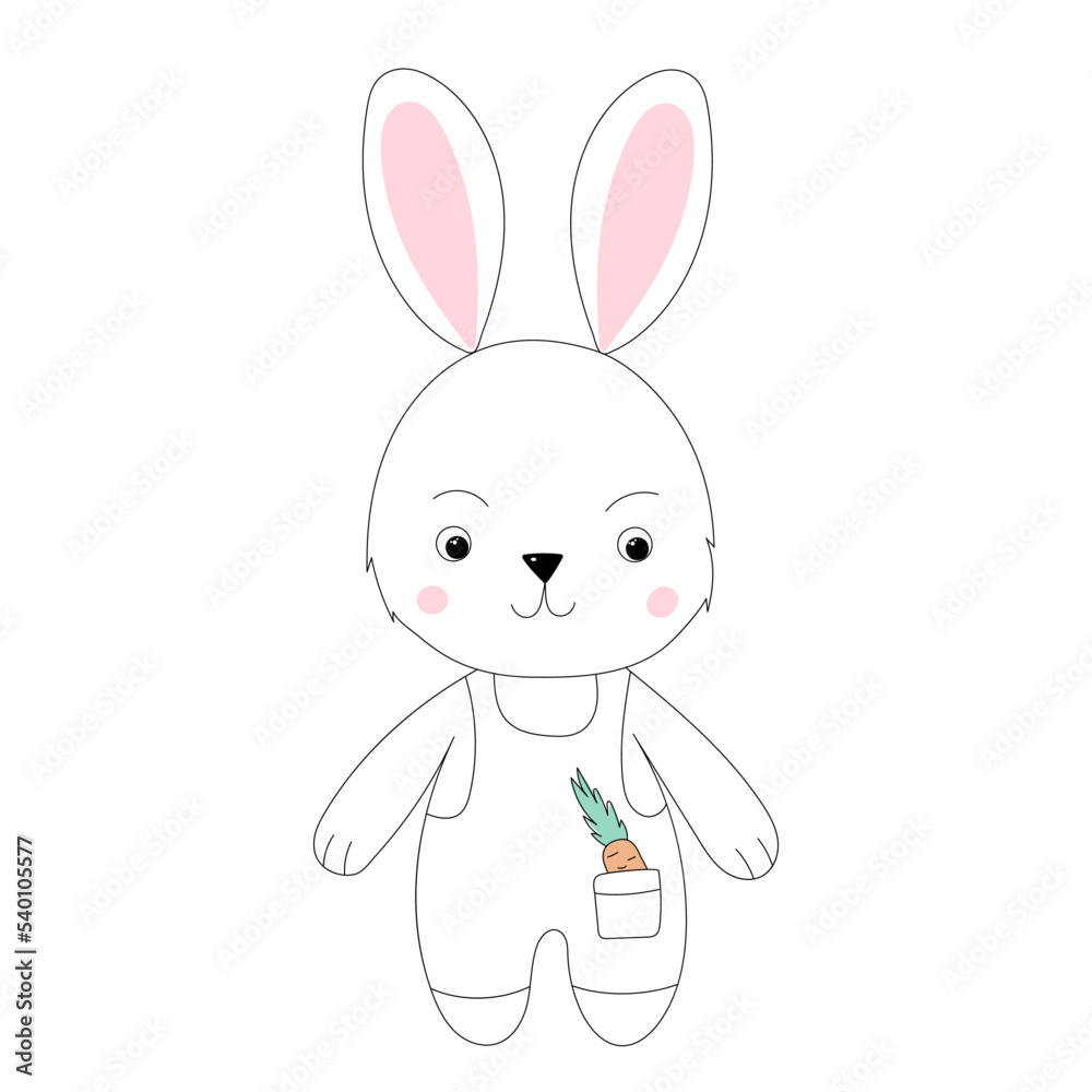 Obraz premium rabbit, hare sketch ,outline icon isolated