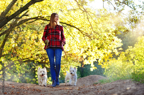 Photography Full length picture of a woman walking with two dogs in the forest