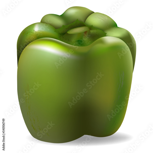 Green bell pepper, healthy food and object for design and game industry