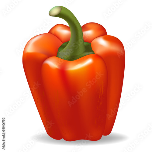 Red bell pepper, healthy food and object for design and game industry
