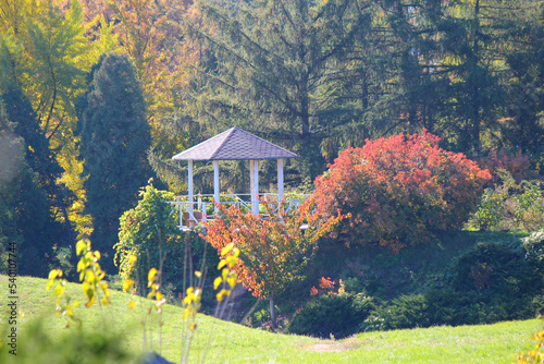 Obraz na plátně botanical garden in early autumn