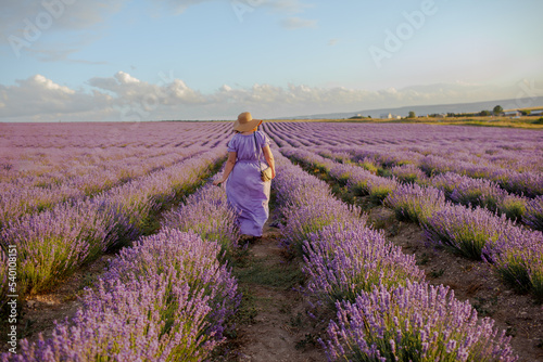 Beautiful plus size woman dressed purple dress and straw hat walking in the lavender flowers field, enjoy the aromatherapy