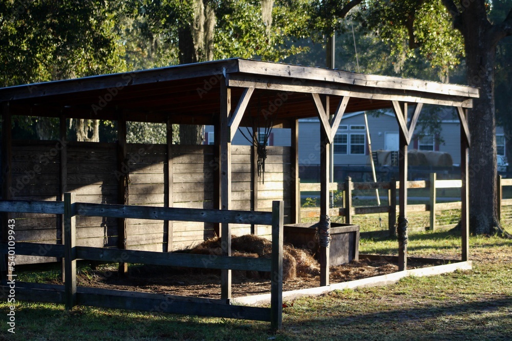 Run-in Shelter in Morning Light