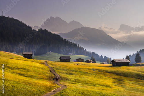 Fotografiet Sunrise on Seiser Alm mountain meadow in Dolomites