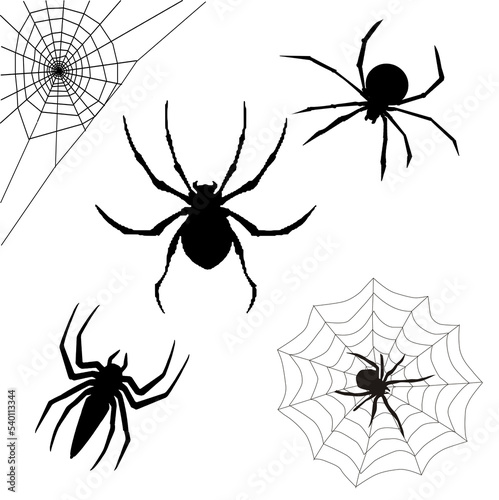 Halloween spider vector creepy